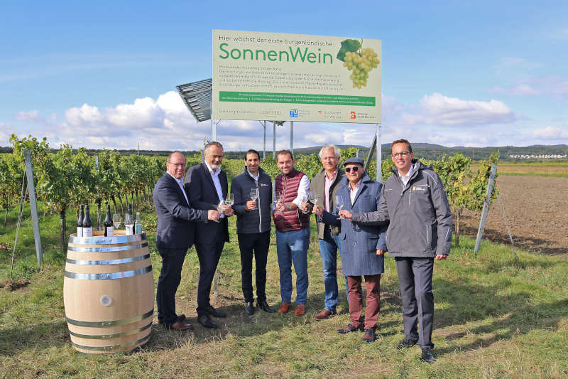 Pilot-Projekt SonnenWein vorgestellt