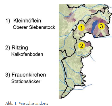 Auswirkung verschiedener Begrünung auf die Zikaden-Weingartenbegleitfauna (Auchenorrhyncha;Hemiptera)