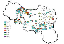 Rebschädigende Viren,Bakterien und bodenbürtige Vektoren im Weinviertel und in anderen österreichischen Weinbaugebieten