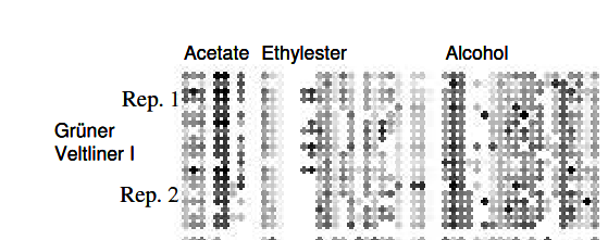 Creating an artificial wine taster: Inferring the influence of must and yeast from the aroma profile of wines using Artificial Intelligence, 