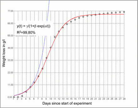 Photoperiodisches Verhalten bei verschiedenen Hefen. "Seasonal variation of fermentation rate in Saccharomyces spp. (Ascomycota)?"